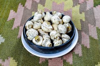 ქამა სოკო კეცზე