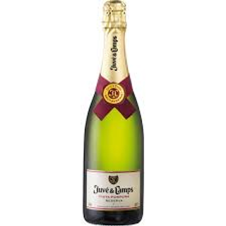 Juve Y Camps Cinta Purpura Reserva 75Cl