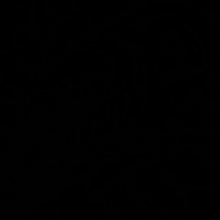 URAMAKI PHILADELPHIA SPECIALE