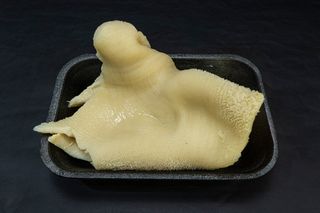 Trippa bovino adulto cotta