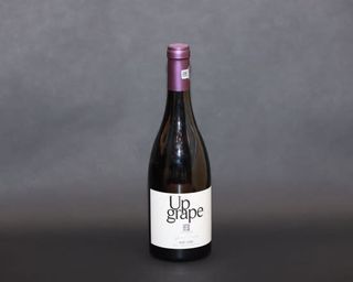 Thesaurus - Up Grape - Cabernet Sauvignon & Pinot Noir