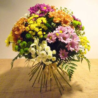 Ramo De 6 Margaritas De Colores Variados