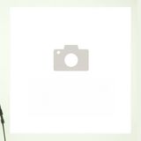 72. Хрупкаво ароматно пилешко месо със сладко-кисел сос (500г)