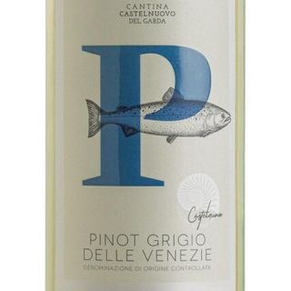 Cantina Castelnuovo Del Garda Pinot Grigio Lombardia Włochy 12,5%