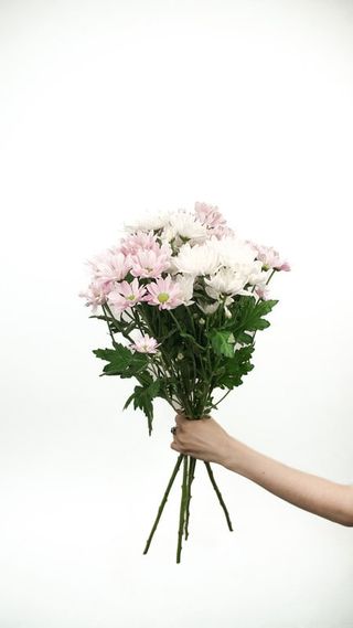 Bukiet Margaretki mix 3 szt.