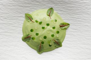 Tartar de somon cu sos din verdețuri și wasabi