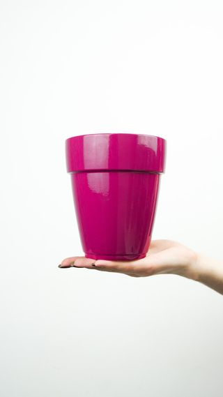 Osłonka do Storczyka