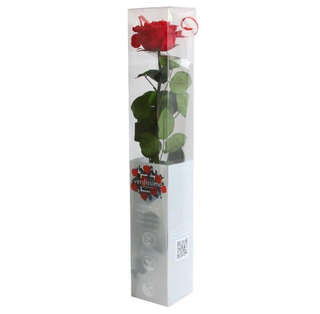 Rosa Roja Eterna Tallo Largo