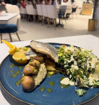 Darne De Maigre Grillée