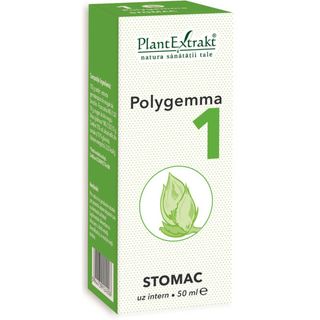 Polygemma nr. 1 - Stomac