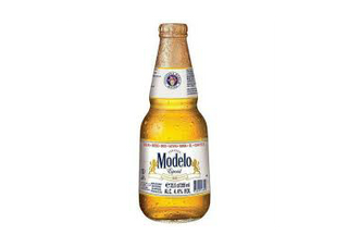 MODELO ESPECIAL