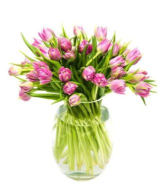 Paquete Basic 10 Tulipanes Lavanda  Doble Flores