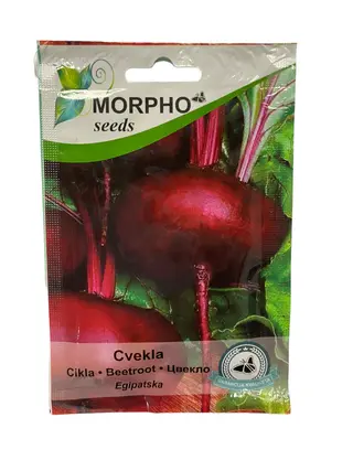 Cvekla Egipatska