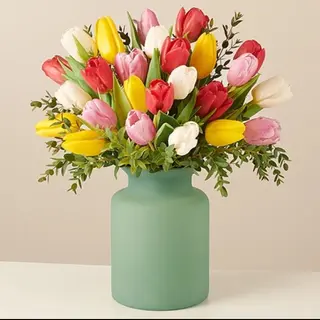 Rainbow tulipani multicolore
