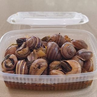 Caracoles se sirven en recipiente de 500ml