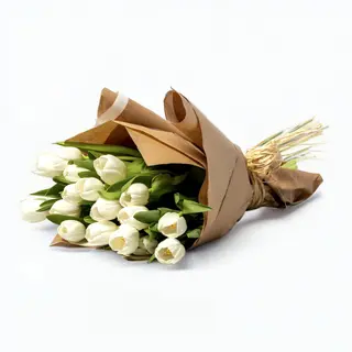 Bouquet de Tulipas