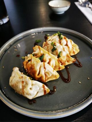 9.Gyoza chicken 5 peças