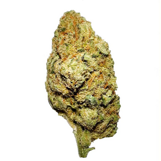 15 gramos La Cordobesa Amnesia Hydroponic Premium