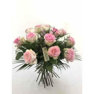 Docena Rosas Rosas