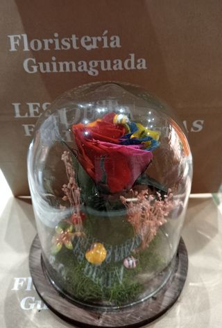 Cúpula rosa arcoiris eterna