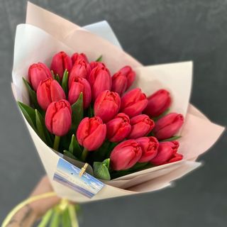 Tulips of the Heart