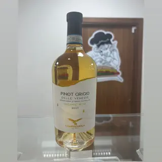 Pinot Grigio delle Venezie 2023 