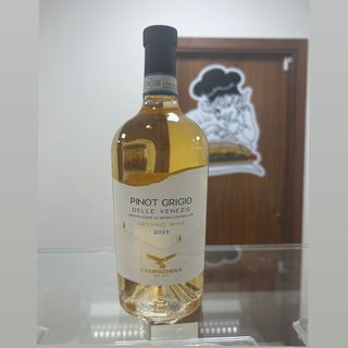 Pinot Grigio delle Venezie 2023 