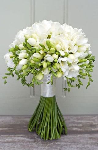 bouquet di fresia bianche .( FIORI Dall'Olanda)