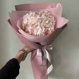 Рожева колумбійська гортензія в оформленні