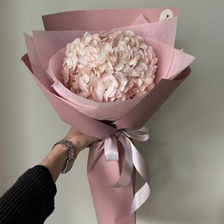 Рожева колумбійська гортензія в оформленні