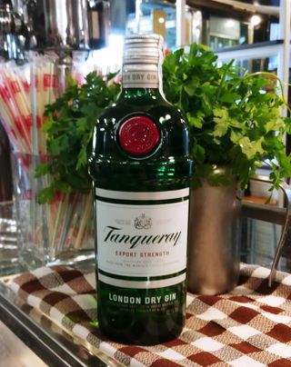 Bot. Tanqueray  +hielo