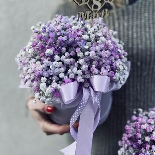 Cutia gypsophila colorat