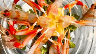 SCAMPI CRUDI 6 PEZZI