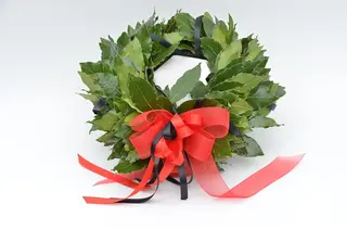 Corona di laurea semplice