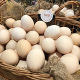 სოფლის კვერცხი 10ც