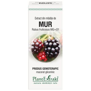 Extract din mladite de mur (RUBUS FRUCT.)