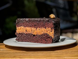 ТОРТ  ШОКОЛАДНИЙ  З ФУНДУКОМ (0,350g)