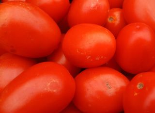 Tomate pera ecológico 