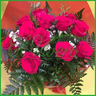 12 rosas cortas