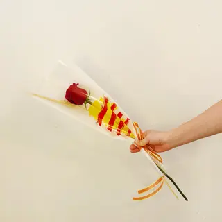  Rosa Sant Jordi Basic
