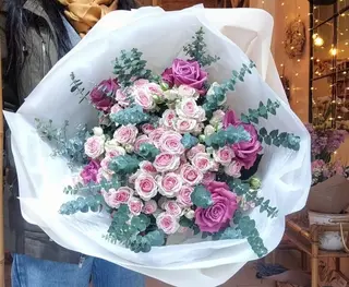 Melodía Rosa