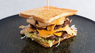 Double Double Toasty Smash Burger