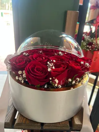 Coffret Romance
