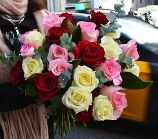 “Fusion” 12/20/30/40 Rosas