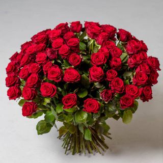 101 róż czerwonych