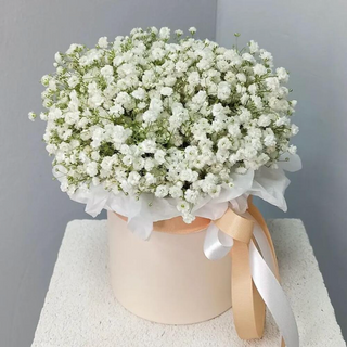 Композиція в коробці з гіпсофіли (7 шт)