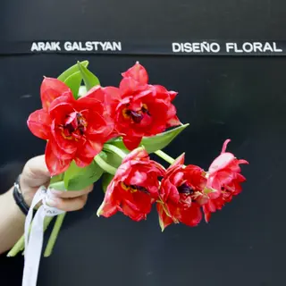 Ramo de 5 Tulipanes Rojos