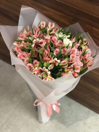 ალსტრომერია 