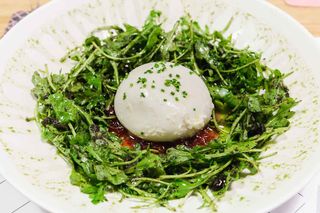 Burrata