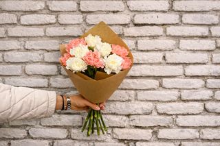 თეთრი და ვარდისფერი დიანტუსი 10 ტოტი